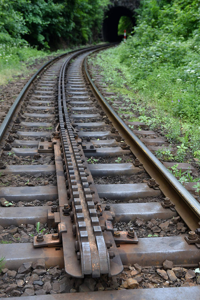 Karikatür demiryolu hattı - Fotoğraf, Görsel