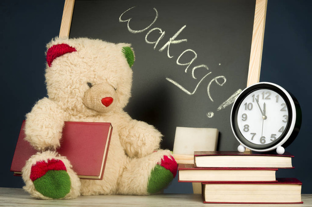 Concept of education with the teddy - Фото, изображение