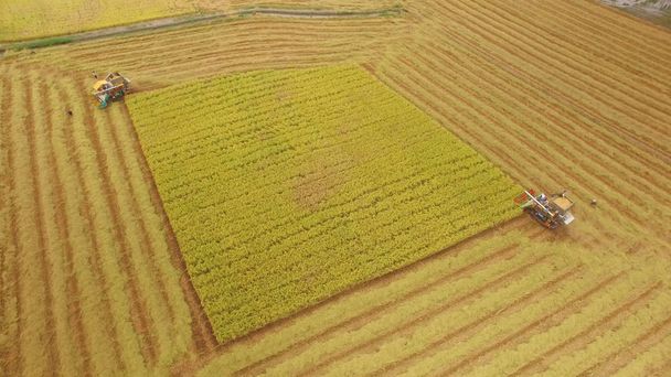 Воздушный обзор комбайна на поле для сбора урожая
 - Фото, изображение