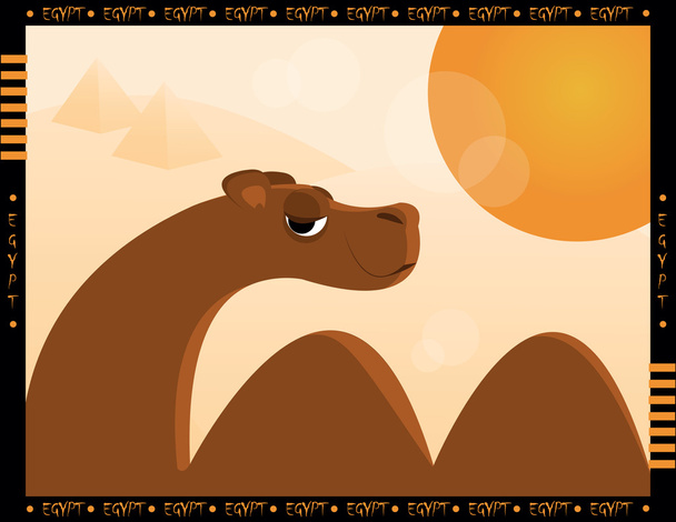 Camel and desert - Vector, Image