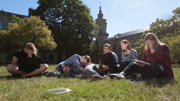 Ryhmä väsyneitä opiskelijoita opiskelee ahkerasti puistossa nurmikolla
 - Materiaali, video