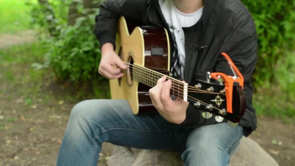 gitaar spelen in het park - Video