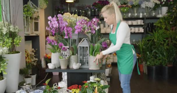 Floristin arbeitet im Geschäft - Filmmaterial, Video