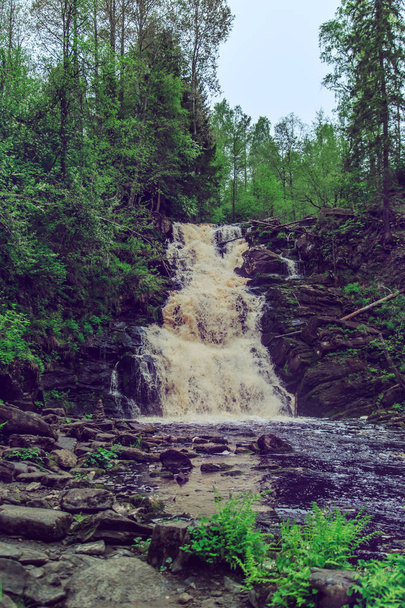 Beautiful waterfall in wild forest. - Fotoğraf, Görsel