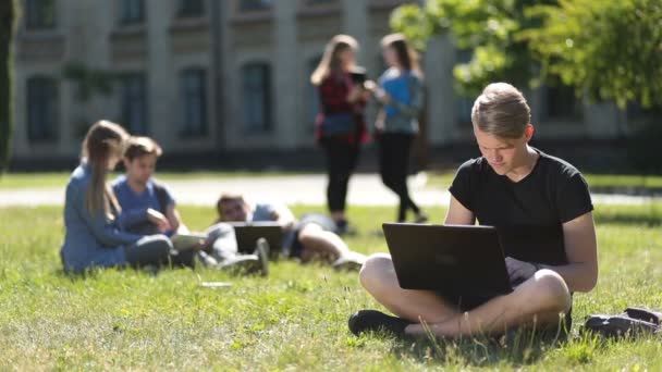 Knappe mannelijke student studeert met laptop in park - Video
