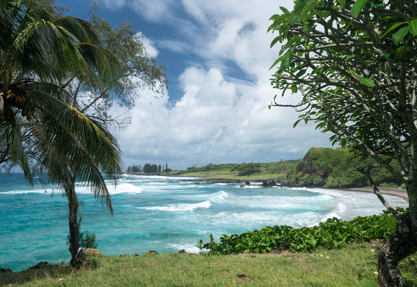 Hamoa пляжі біля Hana на гавайському острові Мауї - Фото, зображення