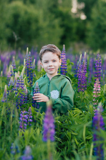 Portrait of a boy in a summer field of lupine  - Foto, afbeelding