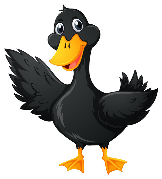 Pato con pluma negra
 - Vector, imagen