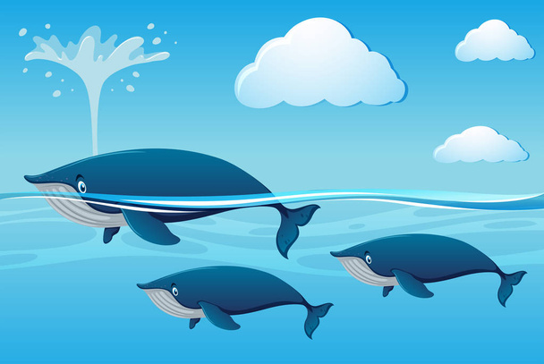 Three whales swimming in ocean - Vector, Image