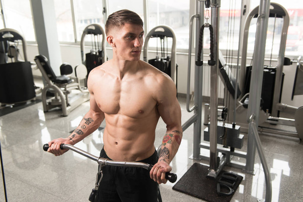 Young Man Exercising Biceps In The Gym - Photo, Image