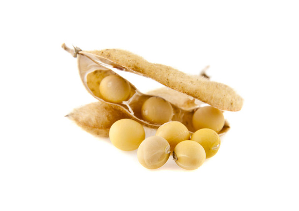 Soybean pods on white background - Photo, Image