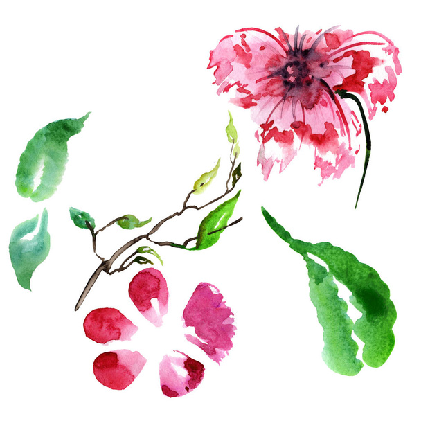 Fiore di peonia in stile acquerello isolato
. - Foto, immagini