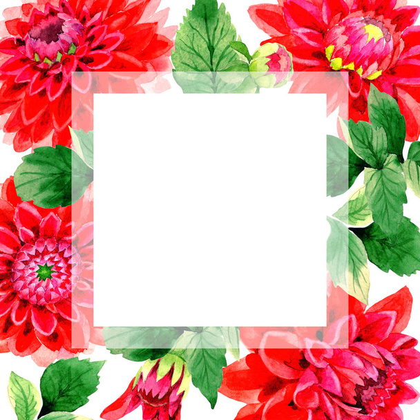 Wildflower dahlia flower frame in a watercolor style isolated. - Foto, afbeelding