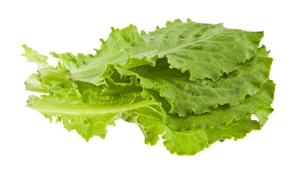 leaves of lettuce - Photo, Image