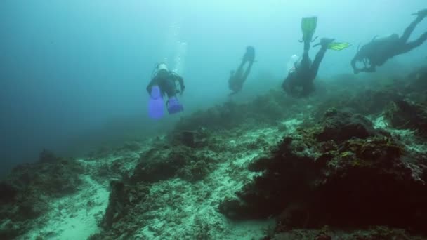duikers onder water. - Video