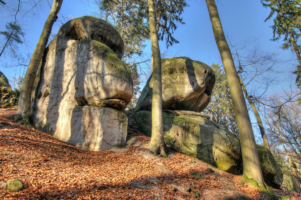 Παράξενες πέτρες στο δάσος, στα Βοημίας Paradise - Φωτογραφία, εικόνα