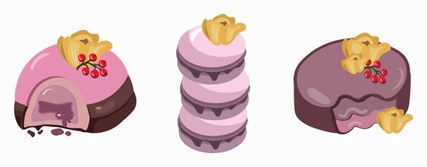 Berry mousse, macarons and delicious cake, Sweet dessert lavender flavors Vector illustration - Vector, Imagen