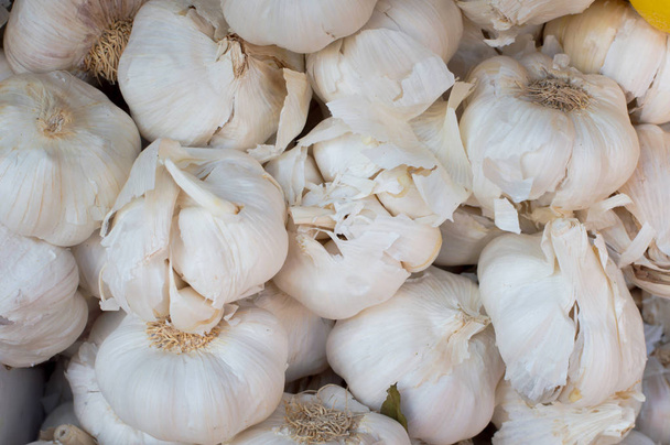 Garlic background. Garlic for sale on market. Agriculture background. Close-up. Top view - Photo, Image