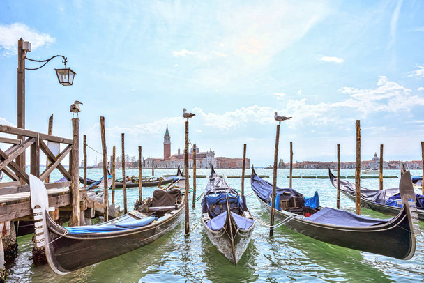 Grand canal in Venice, Piazza San Marco. Seagulls water freedom. Serene sight. Scenic cityscape with gondolas - Foto, imagen