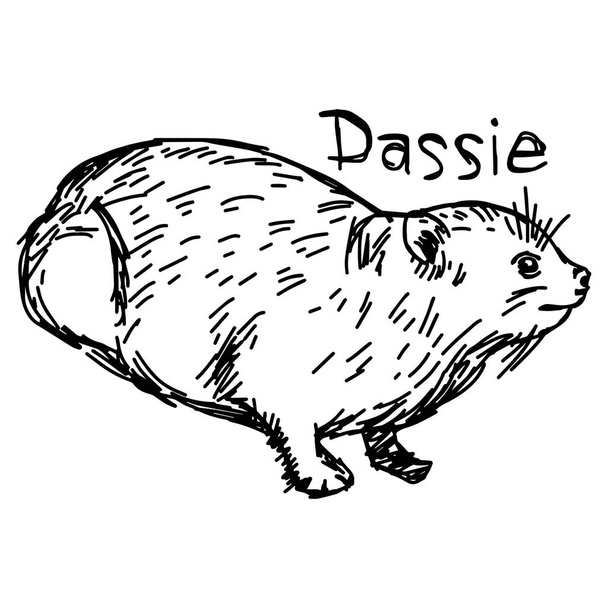  dassie oder rock hyrax - Vektor Illustration Skizze Hand mit schwarzen Linien gezeichnet, isoliert auf weißem Hintergrund - Vektor, Bild