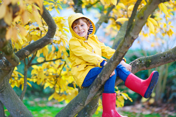 little kid boy in colorful clothes enjoying climbing on tree on autumn day - Photo, Image