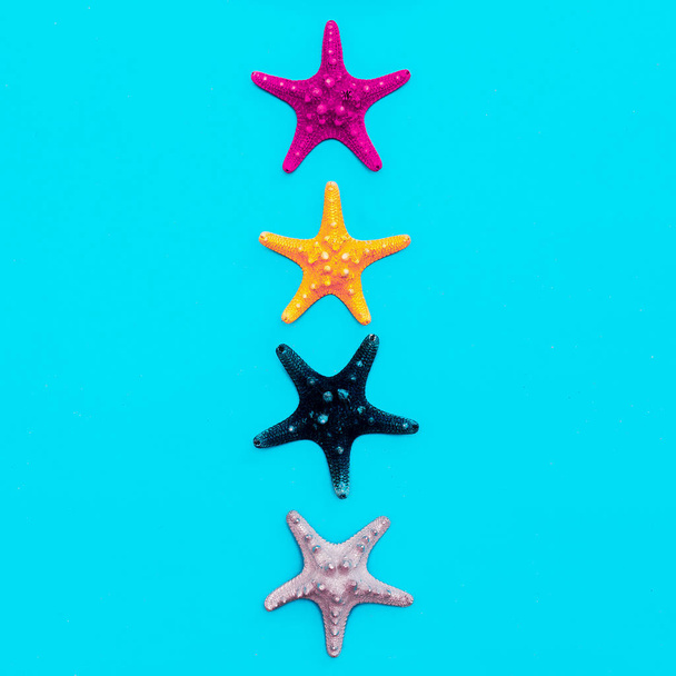 Set of sea stars. Beach style. Minimal art - Φωτογραφία, εικόνα