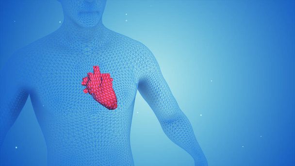 3d ілюстрація людського серця в організмі
 - Фото, зображення