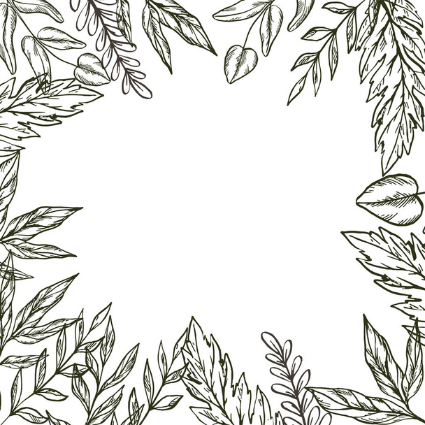 Hand drawn frame of leaves and plants. Vector illustration - Vektor, kép