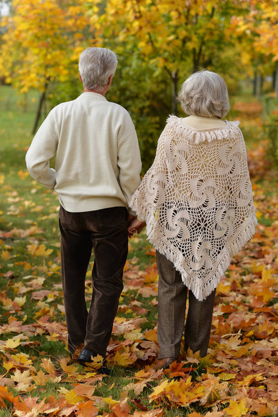  senior couple walking    in the park - Valokuva, kuva