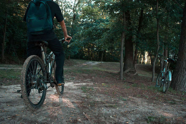 Mountain biker in the woods in the evening. - Photo, Image
