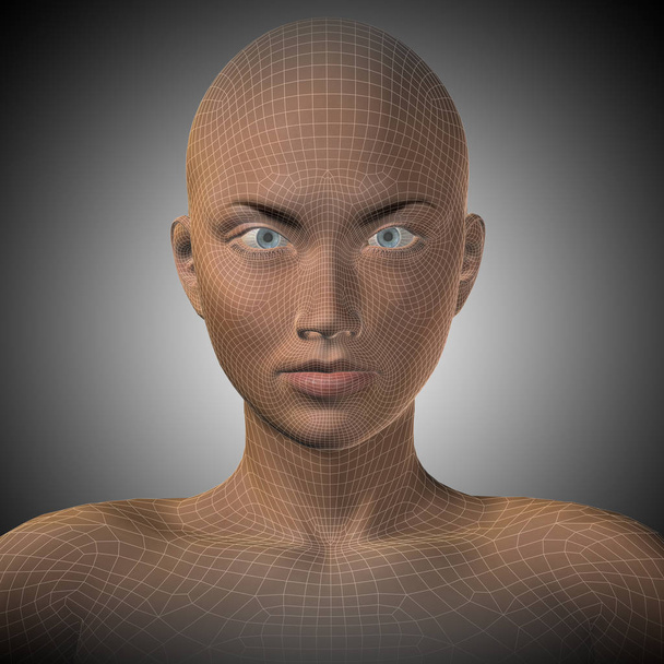  wireframe vrouwelijke hoofd - Foto, afbeelding