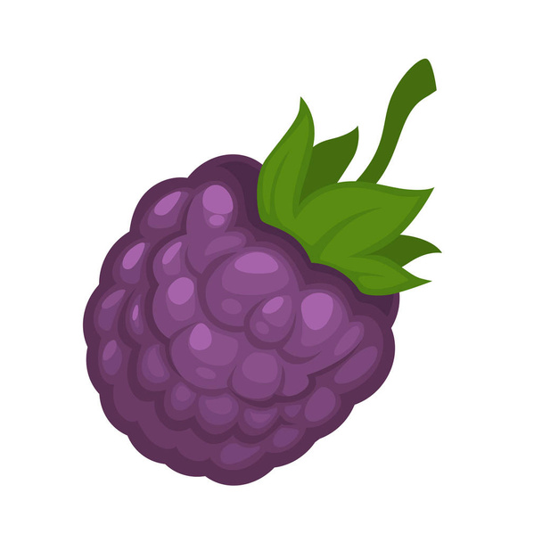 Cartoon tasty violet wild forest blackberry  - Διάνυσμα, εικόνα