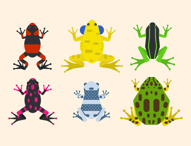 Žába kreslený tropických zvířat kreslený obojživelníků maskot charakter divoké vektorové ilustrace. - Vektor, obrázek