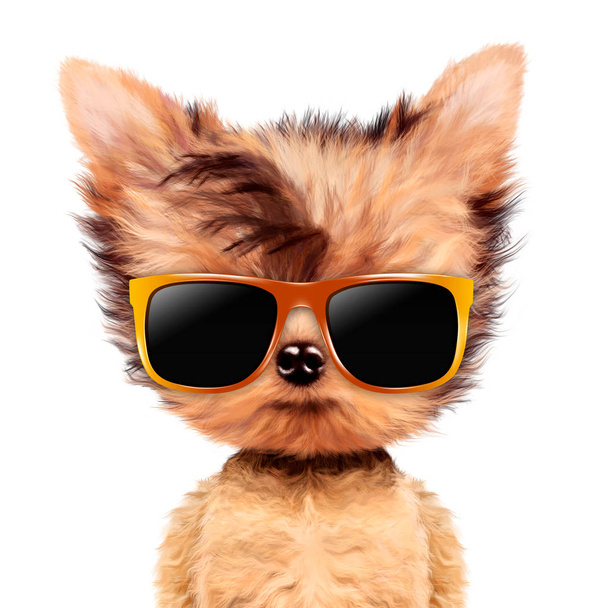 Αστείο, αξιολάτρευτο σκυλάκι κορίτσι με κομψότητα γυαλιά ηλίου - Φωτογραφία, εικόνα