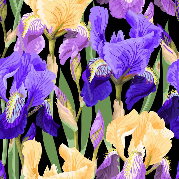 Modello floreale con fiori di iris
 - Vettoriali, immagini