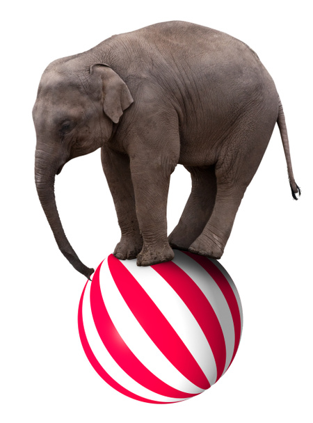 Слоненок на мяче
 - Фото, изображение