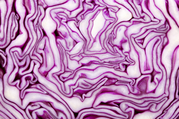 Red Cabbage macro - Photo, Image