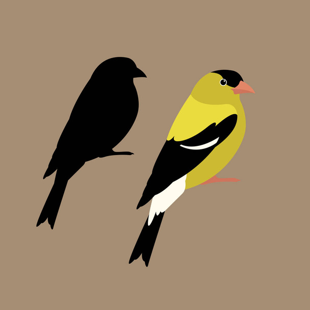 american goldfinch  vector illustration style Flat - Vector, Image