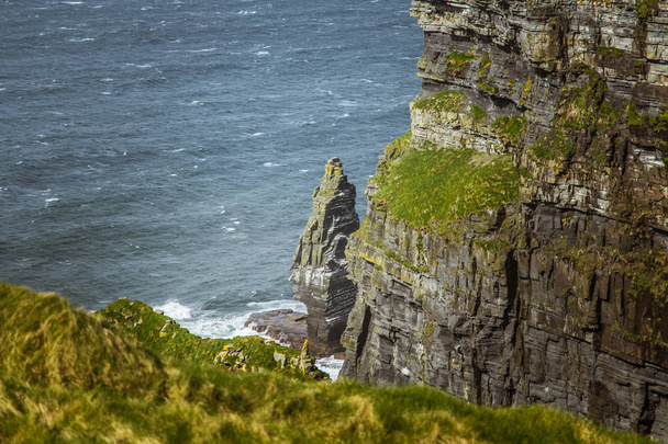 A beautiful landscape of Moher cliffs in spring in Ireland. - Photo, Image