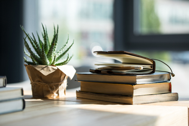 Vue rapprochée des livres, carnet avec crayon et plante en pot sur table en bois
  - Photo, image
