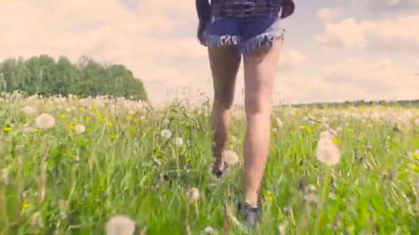 Legs of young woman walking throught the meadow - Video, Çekim