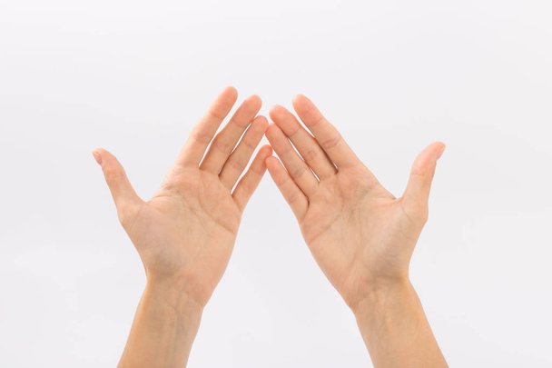 Mani femminili su sfondo bianco. Gesti
 - Foto, immagini