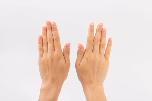 Ženské ruce na bílém pozadí. Gesta - Fotografie, Obrázek
