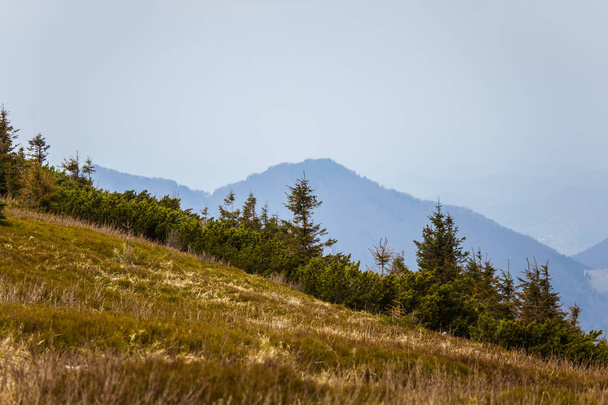 A beautiful mountain pass landscape of Tatra mountains in Slovakia.  - Photo, Image
