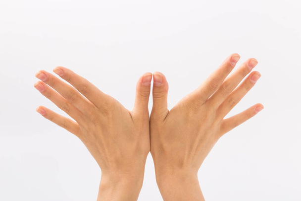 Female hands on a white background. Gestures - Foto, imagen