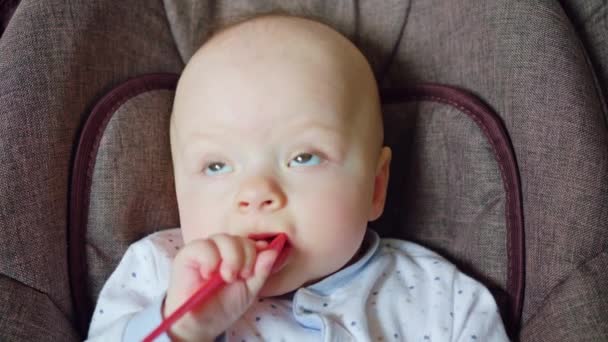 Niedliches Baby liegt im Kinderwagen und isst einen roten Löffel - Filmmaterial, Video