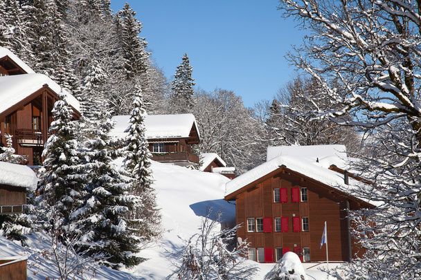 Winter in alps - Фото, изображение