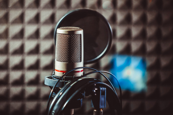 Studio microphone on the stand - Foto, Bild