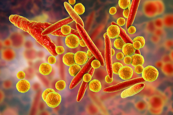 Микоплазма бактерии, иллюстрация
 - Фото, изображение