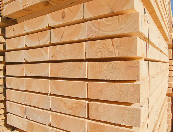 Fresh wooden studs - Photo, Image